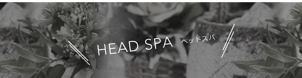 HEAD SPA